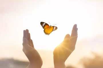 Käsistä vapautuva perhonen kuvaa vapautumista äitihaavasta.